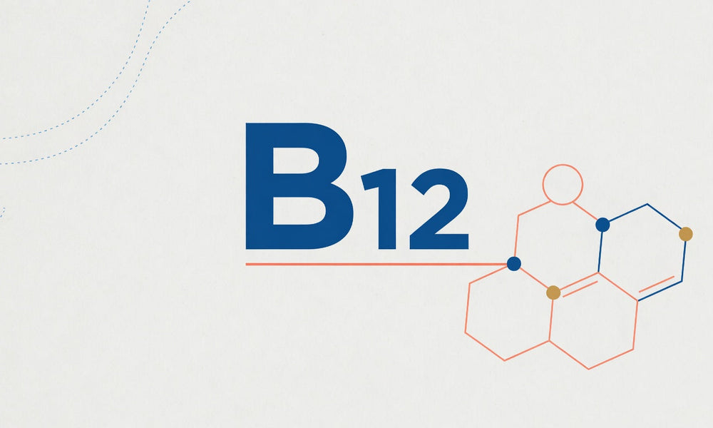 Vitamin B12 - What To Know