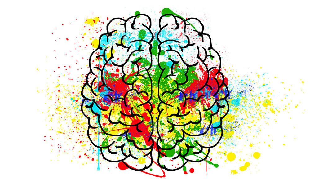 What Are Nootropics?