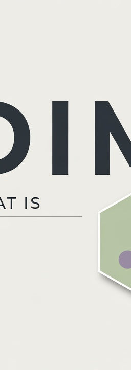 What is DIM?