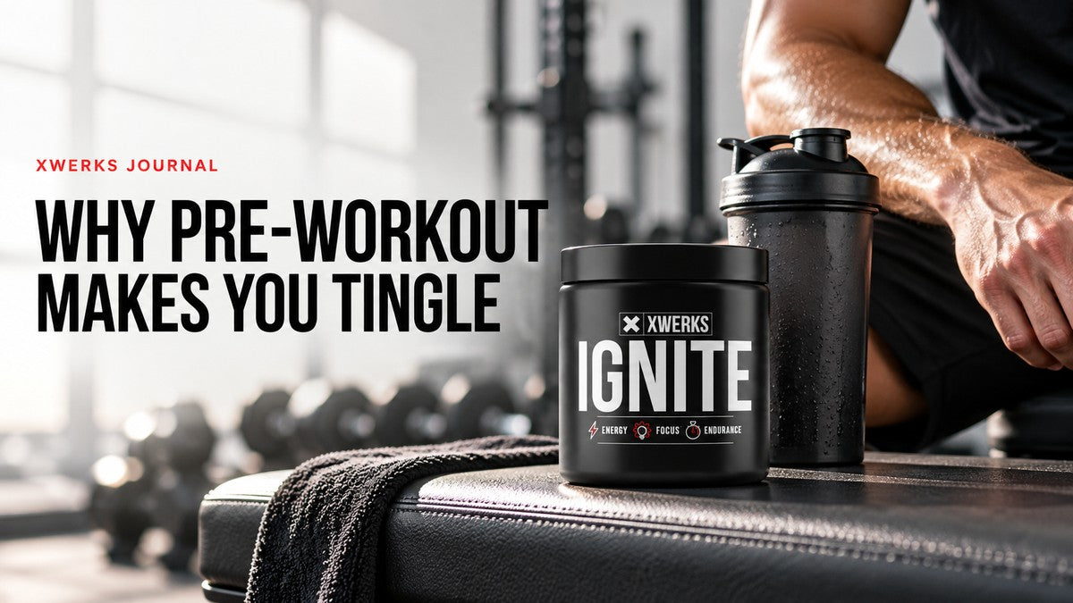 XWERKS Ignite pre-workout and a shaker on a gym bench, with the title Why Pre-Workout Makes You Tingle.